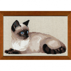 1066 Тайская кошка